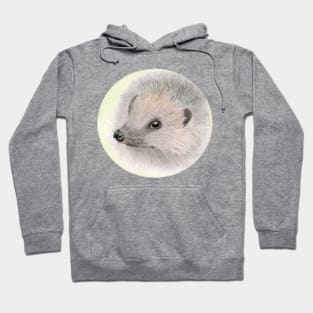 Young Hedgehog Hoodie